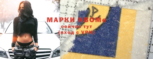 индика Рославль