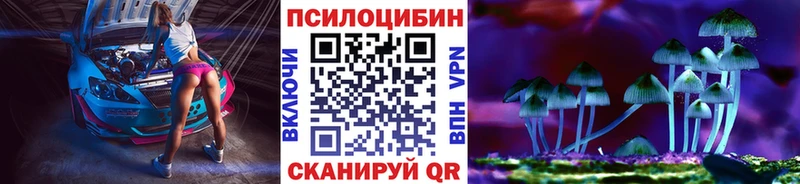 Галлюциногенные грибы Psilocybine cubensis  Весьегонск 